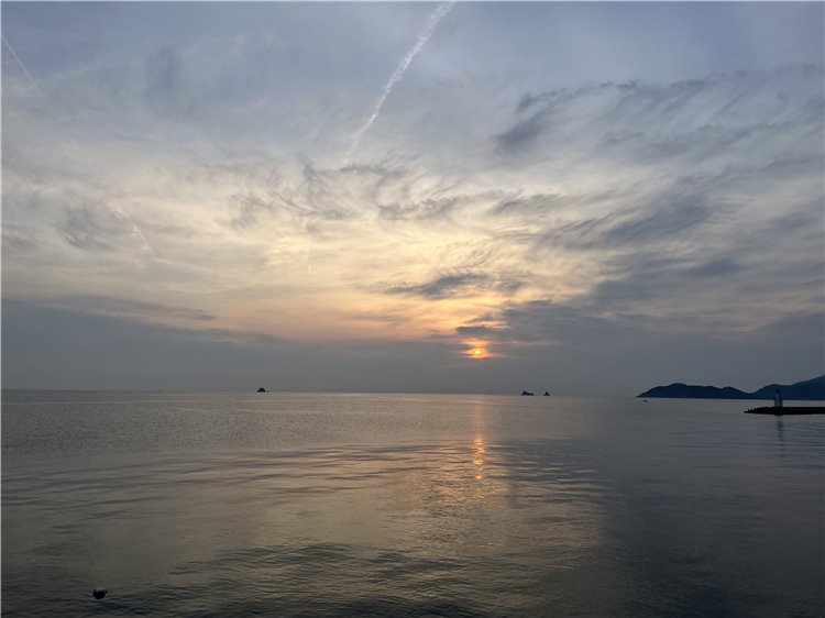 14日の画像