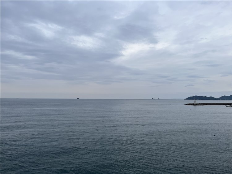 24日の画像