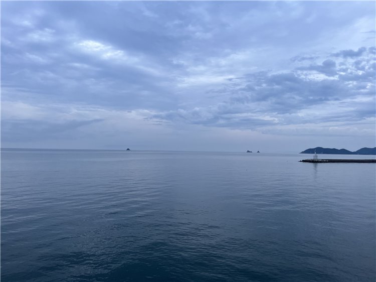 29日の画像