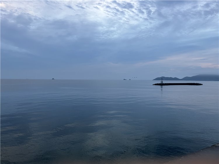 12日の画像
