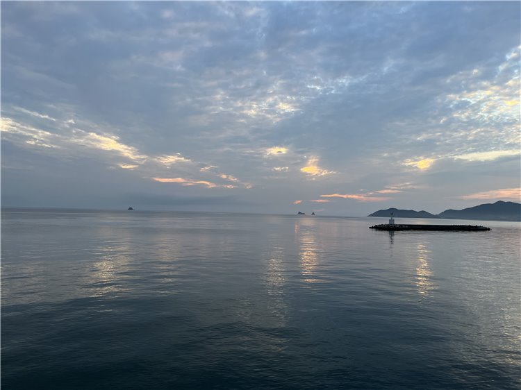 13日の画像