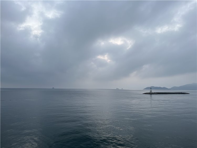 16日の画像